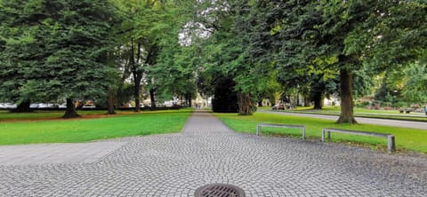 Natural landscape, Garden