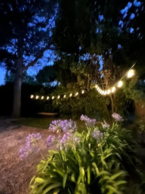 Le repaire magique Apartment in Roquebrune-sur-Argens