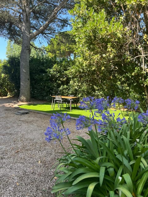 Le repaire magique Apartment in Roquebrune-sur-Argens