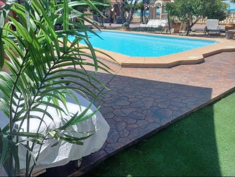 Garden, Garden view, Swimming pool, sunbed