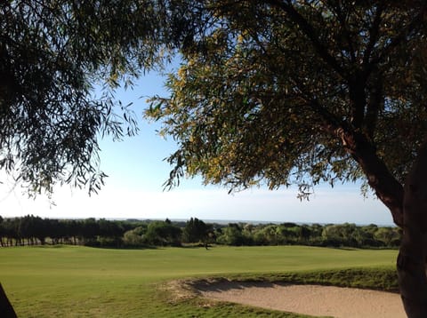 Golfcourse