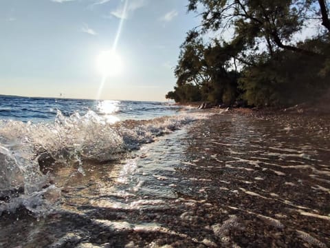 Apartmants Bura Apartment in Seline