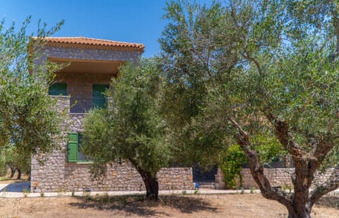 Property building, Garden, Garden view
