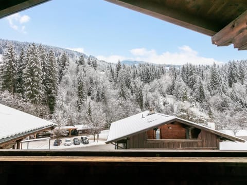 Winter, View (from property/room)