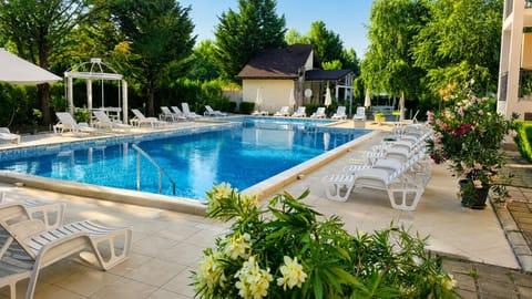 Day, Pool view, Swimming pool, sunbed