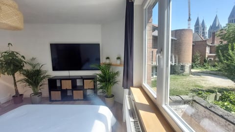Appartements Entiers - Centre de Tournai Apartment in Hauts-de-France