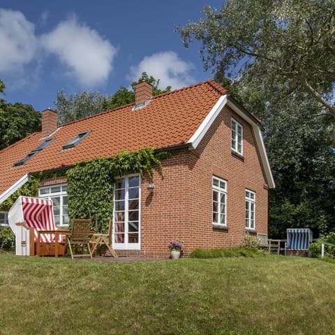 Property building, Day, Garden