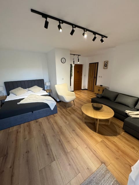 Bed, Living room, Photo of the whole room, Seating area, Bedroom