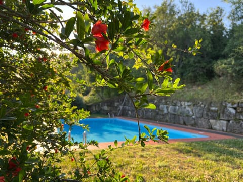 Day, Swimming pool