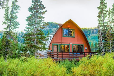 Moose Manse House in Brighton