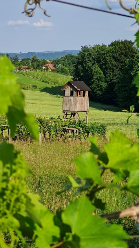 Natural landscape