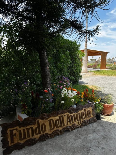 Logo/Certificate/Sign