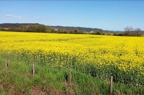 Spring, Natural landscape
