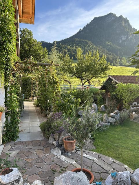 Natural landscape, Garden, Mountain view