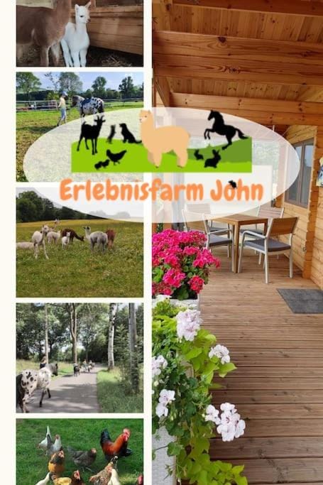 Property building, Animals