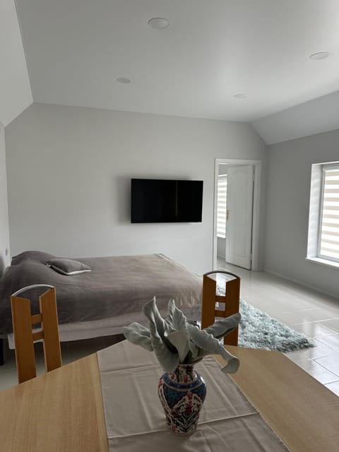 Apartamentai LUKA Apartment in Lithuania