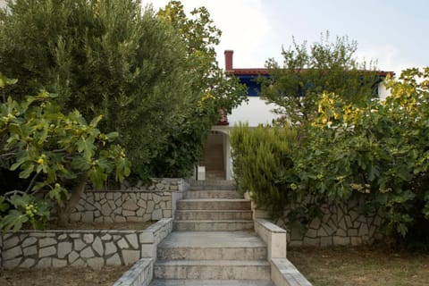 Patio, Facade/entrance, Day, Garden