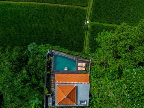 Property building, Natural landscape, Bird's eye view