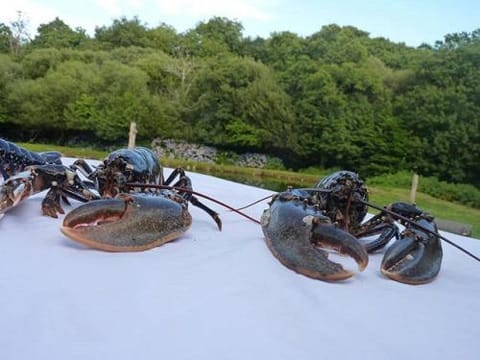 La suite du paysan terrasse privative avec salon de jardin et bain de soleil cuisine privé bain à remous privatif plage de sable fin à 7 mn Bed and Breakfast in Combrit