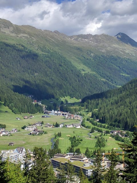Natural landscape