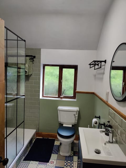 Shower, Toilet, Bathroom, towels