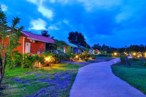 Property building, Night, Garden view
