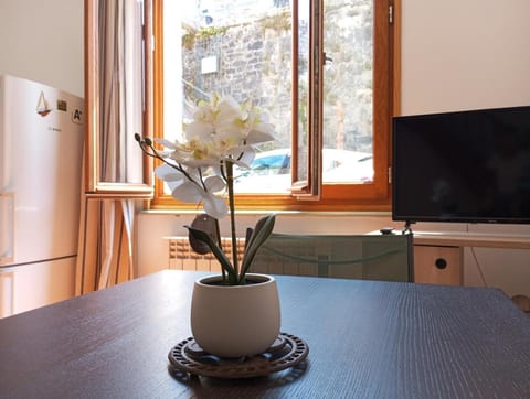 Le Cocon de Renée, Maison atypique en ville close de Concarneau House in Concarneau