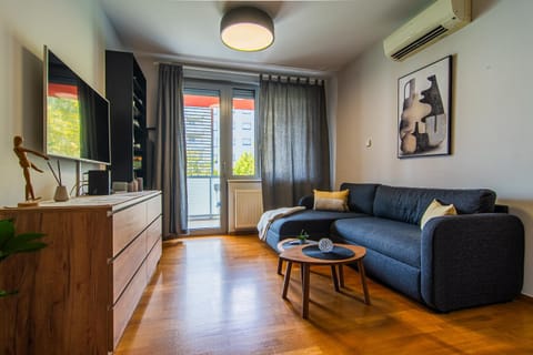 TV and multimedia, Living room, Seating area, air conditioner