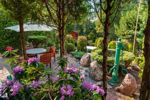 Day, Natural landscape, Garden