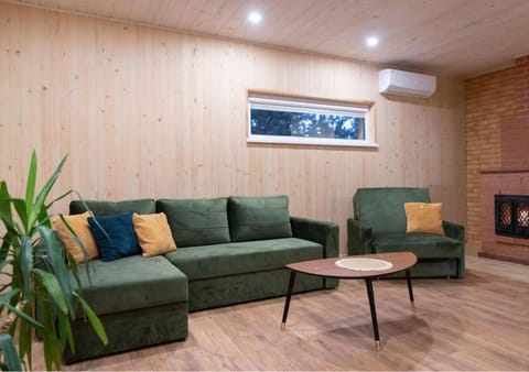 Living room, air conditioner