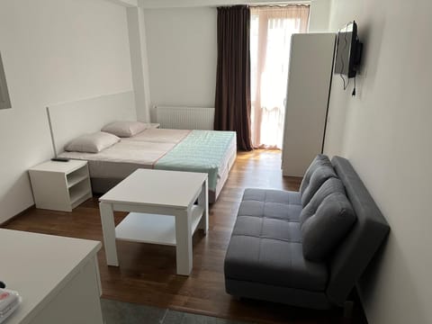 Communal lounge/ TV room, Bed, TV and multimedia, Living room, Photo of the whole room, Seating area, Bedroom