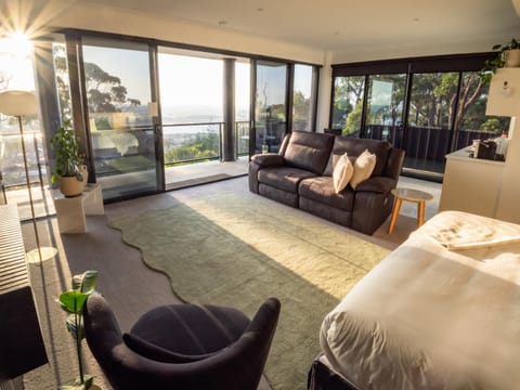 Kitchen or kitchenette, Living room, Bedroom, River view, fireplace