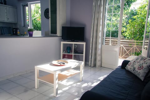 TV and multimedia, Living room, Seating area, Garden view