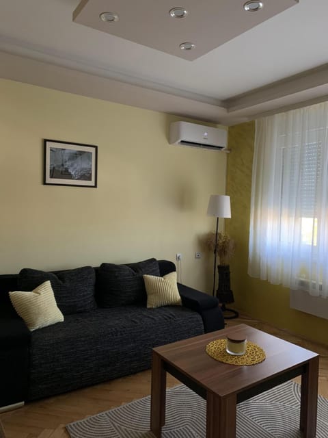 Living room, Seating area, air conditioner