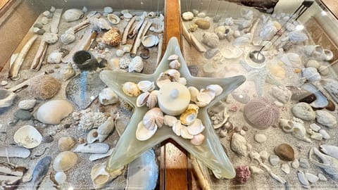 Basecamp Mountain View Lofoten House in Lofoten