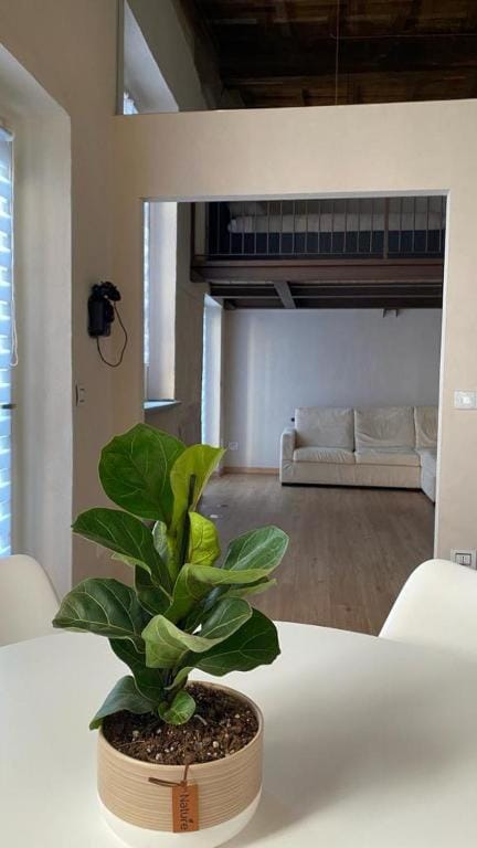 Il Garibaldi Apartment in Liguria
