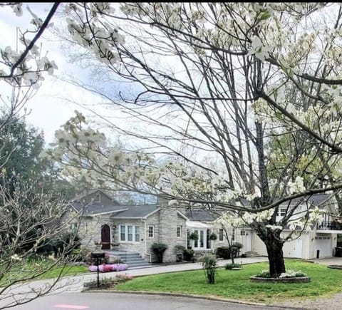 Spring, Day, Natural landscape, Street view