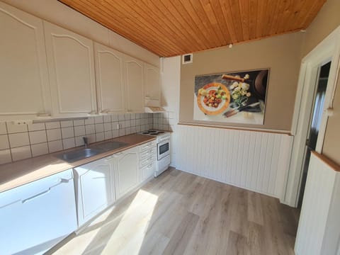 Ilmastoitu yksiö ja keittiö 2 km keskustaan Apartment in Finland