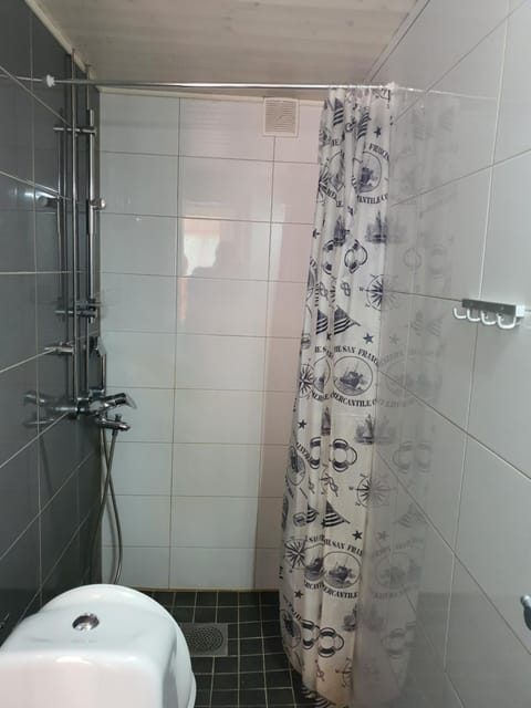 Ilmastoitu yksiö ja keittiö 2 km keskustaan Apartment in Finland