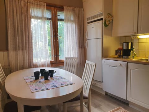 Ilmastoitu yksiö ja keittiö 2 km keskustaan Apartment in Finland