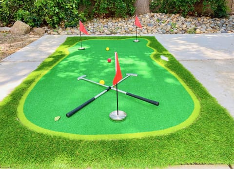 Cheerful & Spacious house to relax and unwind House in Tracy