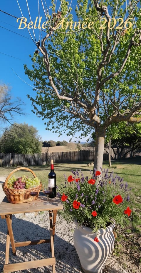 Domaine Camp Fourca House in Pertuis