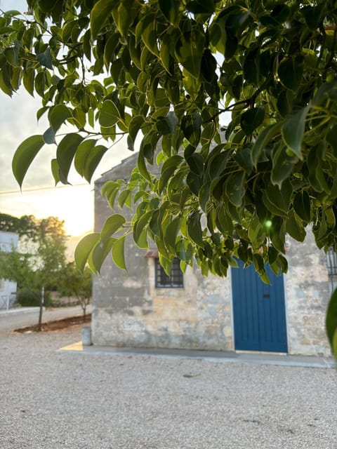 Day, Garden, Floor plan, Garden view, Sunset
