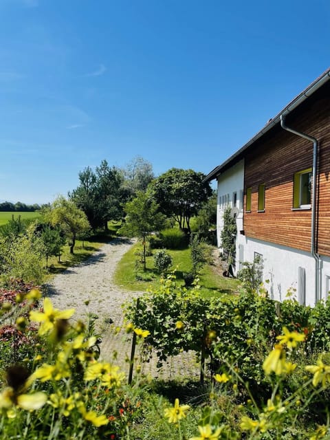 Property building, Garden, Garden view