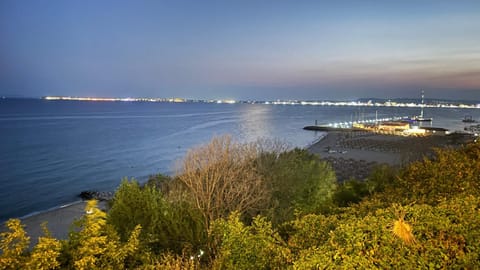 Beach, Area and facilities