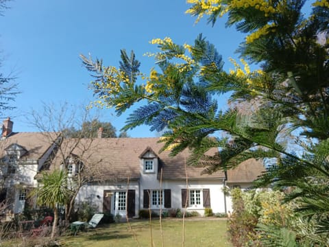 Property building, Spring, Garden view