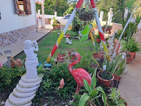 Day, Garden, Garden view