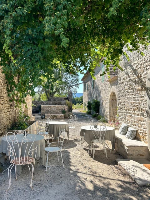 Patio, Garden