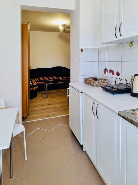 Apartman Radulovic House in Serbia