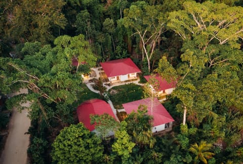 Property building, Natural landscape, Bird's eye view